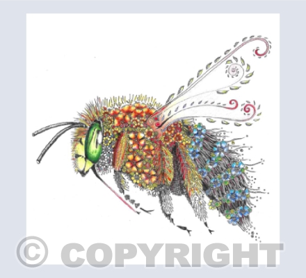 Blue-banded Bee