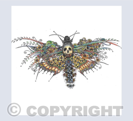 Death's-head Hawkmoth