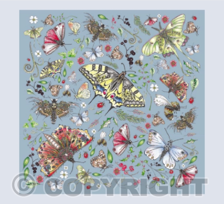 Butterfly blue