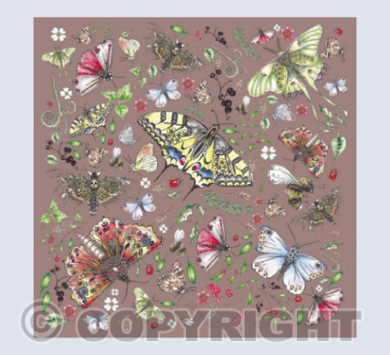 Butterfly pink
