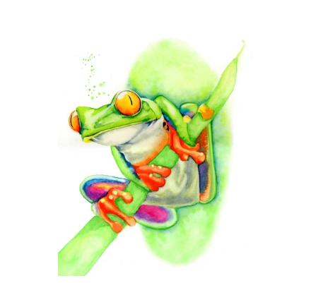 Tree frog watercolour - Freddy the frog