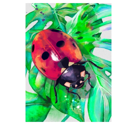 Ladybird digital - Fly away home