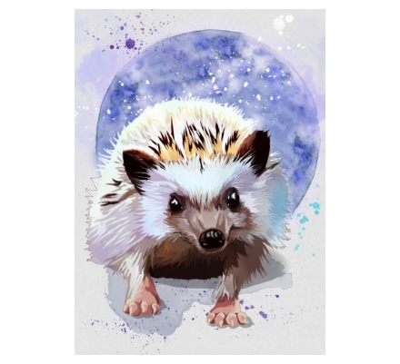 Hedgehog digital - Moonlit forage