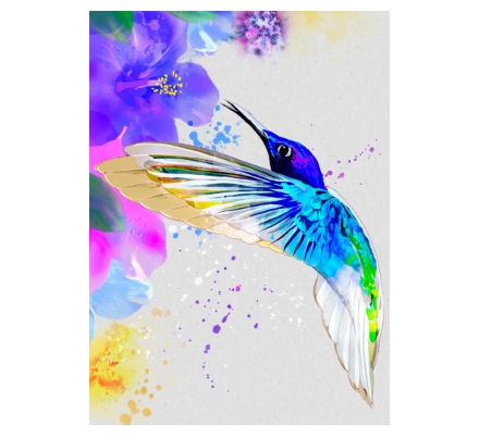 Hummingbird digital - Light and grace