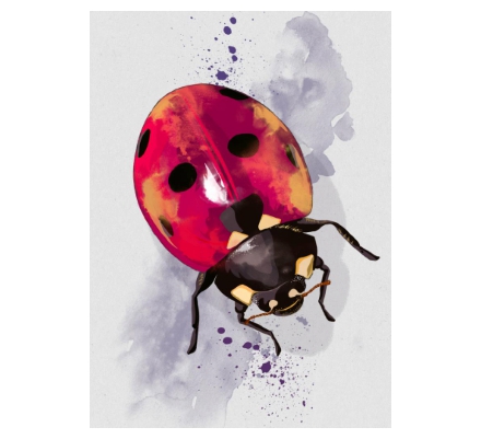 Ladybird digital no leaves - She's a lady