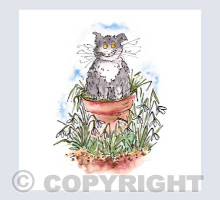 Cat sat in plant pot with Snowdrops