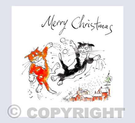 Merry Christmas - Moggy snowball fight