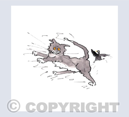 The blackbird shuffle