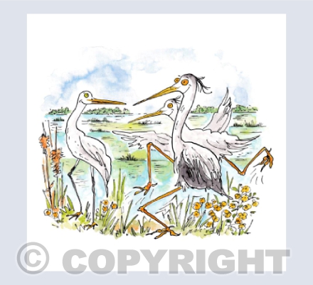 The egret has landed - Somerset