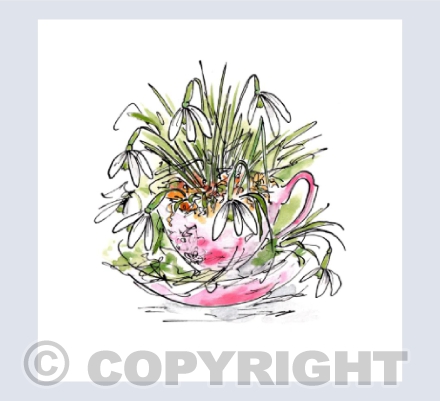 Snowdrops in tea cup