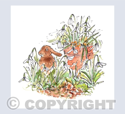 Snowdrops and rabbit