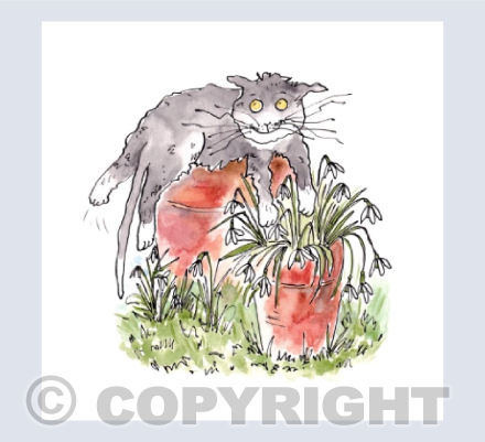 Cat lounging on plant pot with Snowdrops
