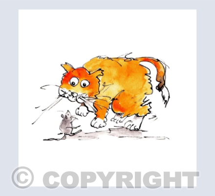 Cat and mouse - No message