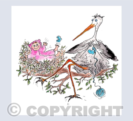 Storky and the baby booties - New Baby