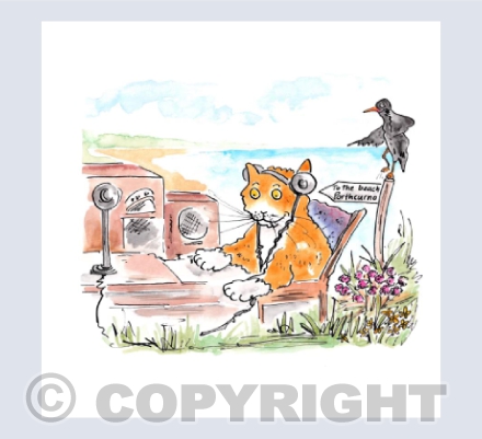 Morse code cat