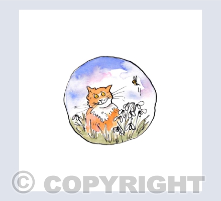 In amongst the snowdrops