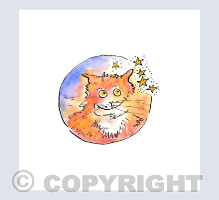 Twinkle twinkle little tom cat