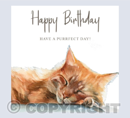 Ginger Cat Card