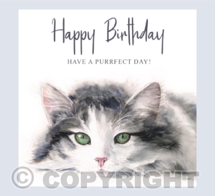 Green Eyed Cat