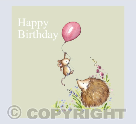 Harry hedgehog and Millie mouse