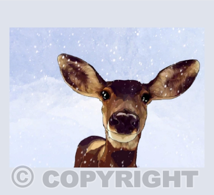 Deer