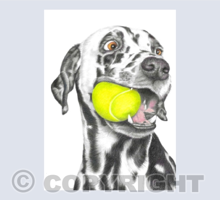 The Ball Thief