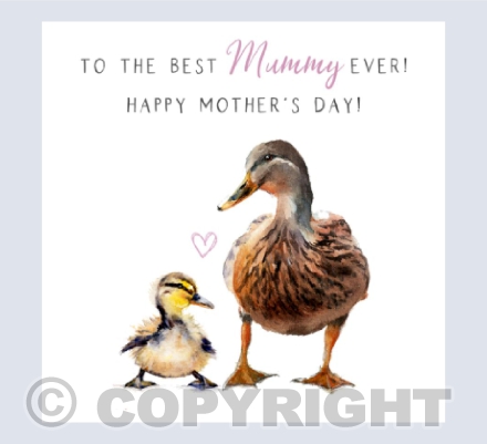 Molly Mallard & Daphne Duckling