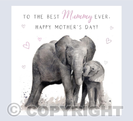 Elephant Mum & Baby