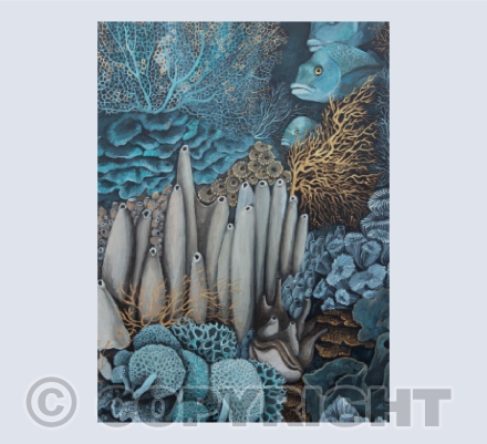 Coral Reef