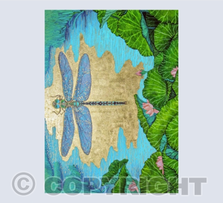 Dragonfly