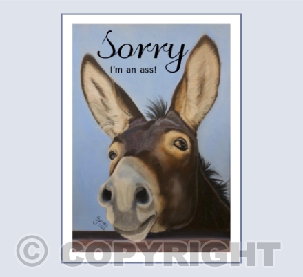 Sorry I’m an Ass