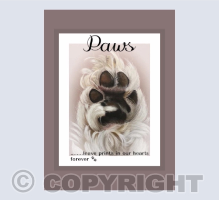 Paw prints 2