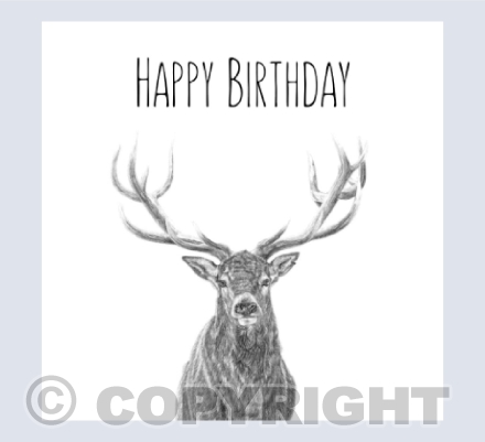 Stag birthday