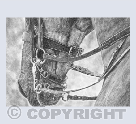 The Competitor I card