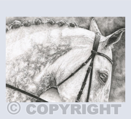 The Competitor II card