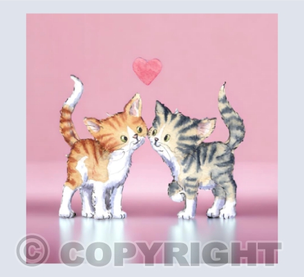Love cats
