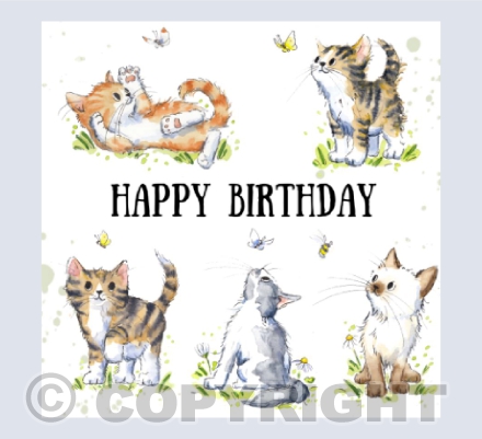 Birthday kittens