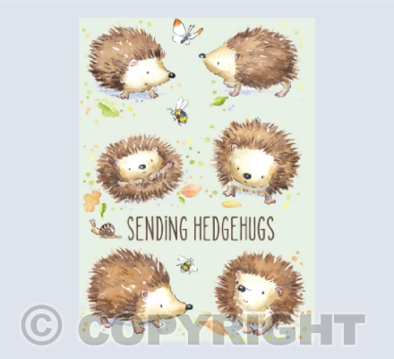 Hedgehugs