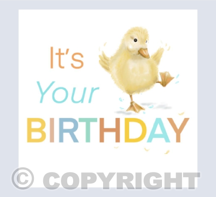 Birthday Duck