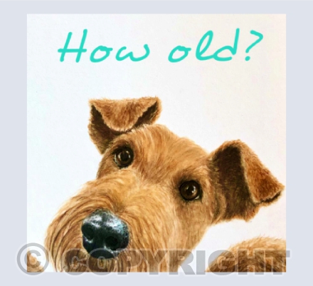 How Old?