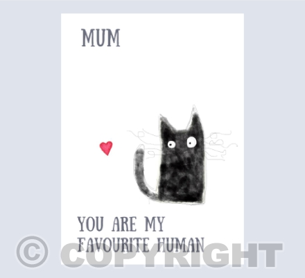 Mum Black Kitten