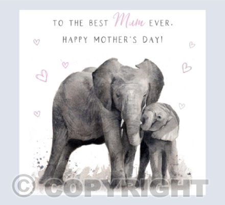 Elephants - Best Mum Ever