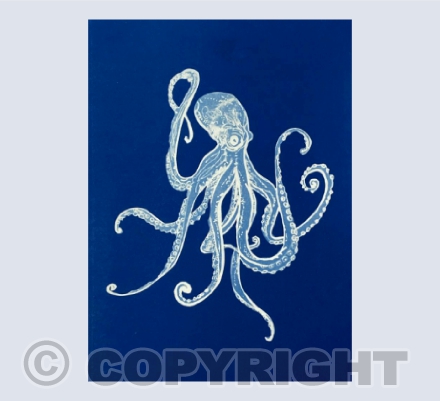 Octopus Friend