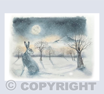 Winter Moon