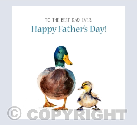 Ducks - Happy Father's Day!