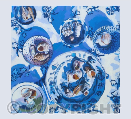Colourful Kitchen Plates and Shells