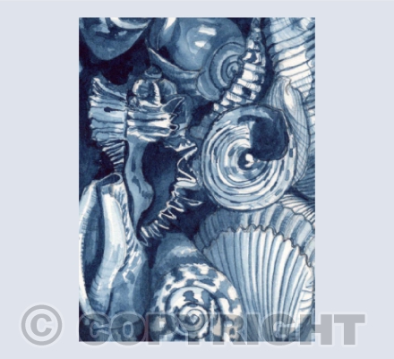 Indigo Shell Card