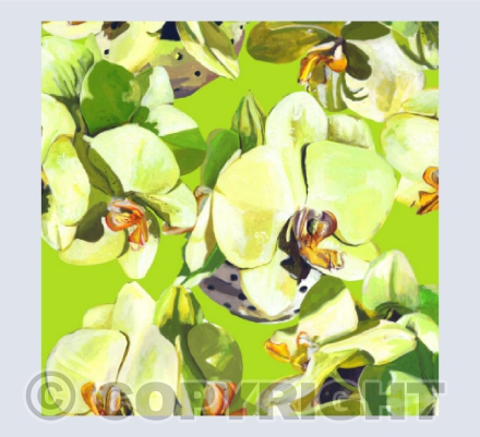 Chartreuse Orchids