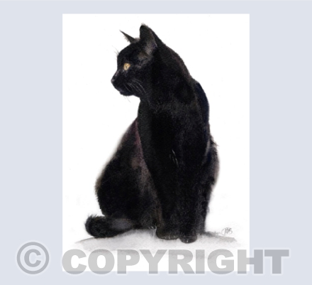 Black Cat - A painting in watercolour