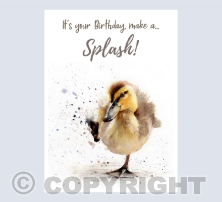 It's your Birthday ...'Make a Splash'
